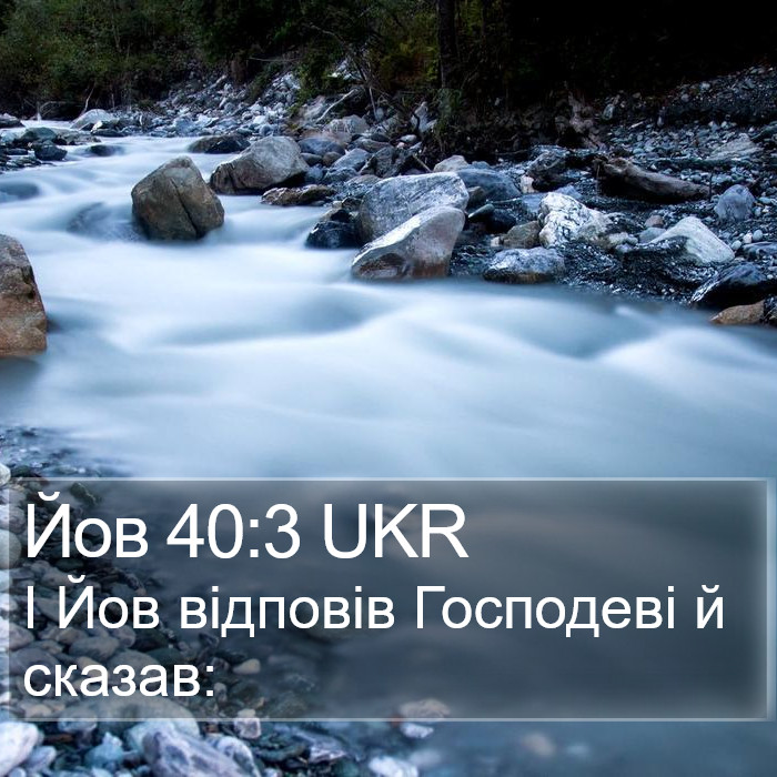Йов 40:3 UKR Bible Study