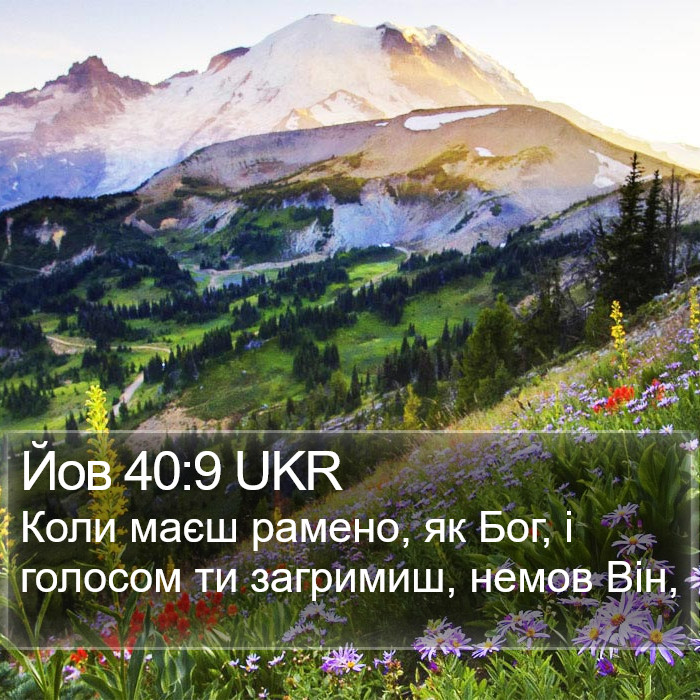 Йов 40:9 UKR Bible Study