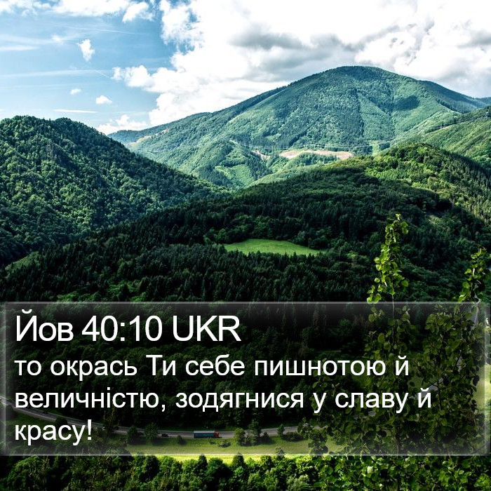 Йов 40:10 UKR Bible Study
