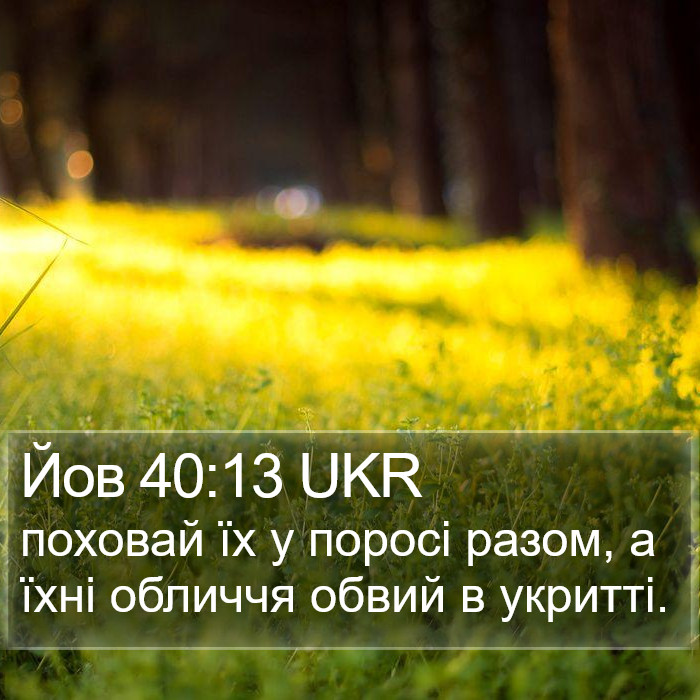 Йов 40:13 UKR Bible Study