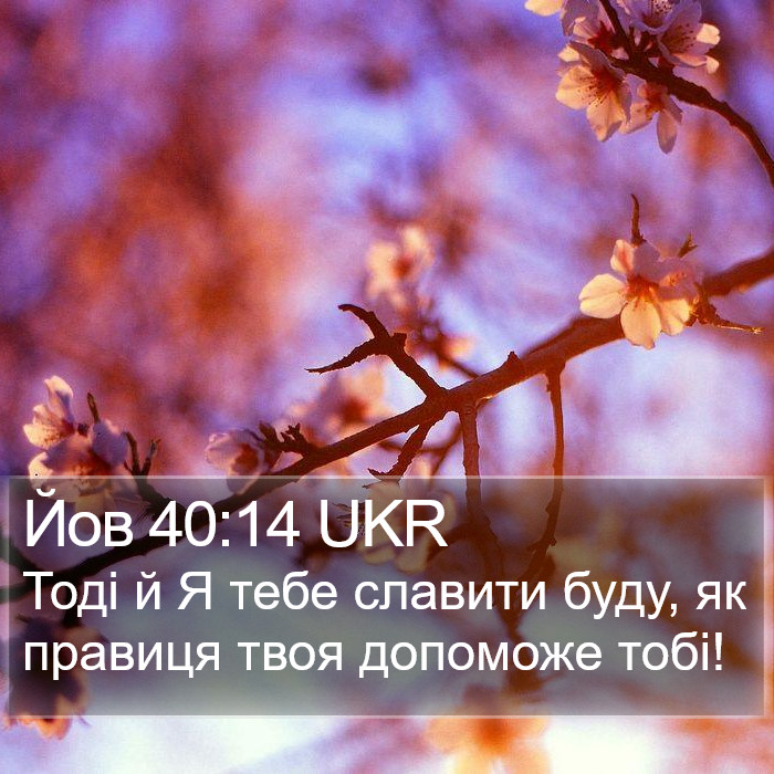 Йов 40:14 UKR Bible Study