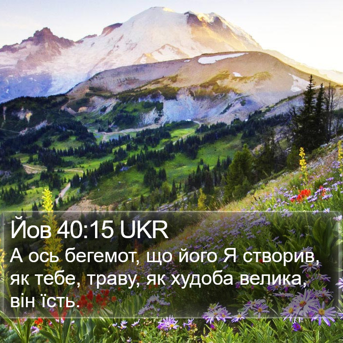 Йов 40:15 UKR Bible Study
