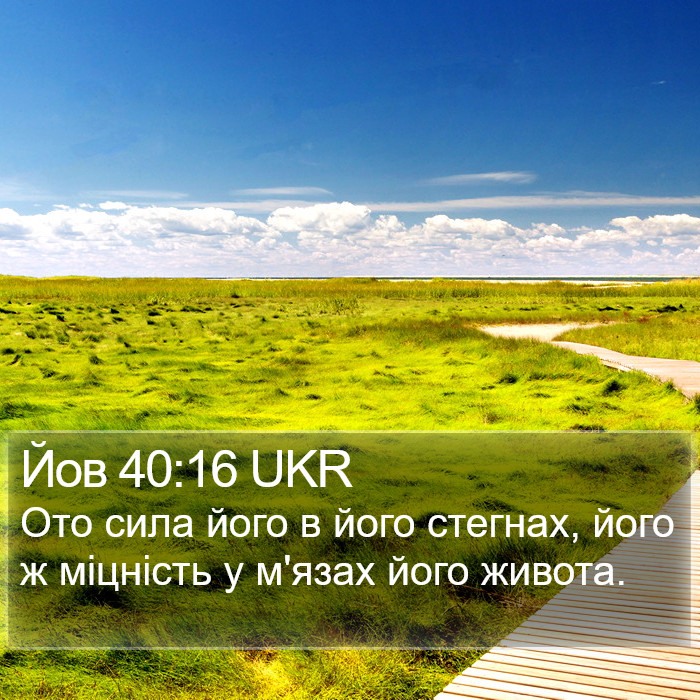 Йов 40:16 UKR Bible Study