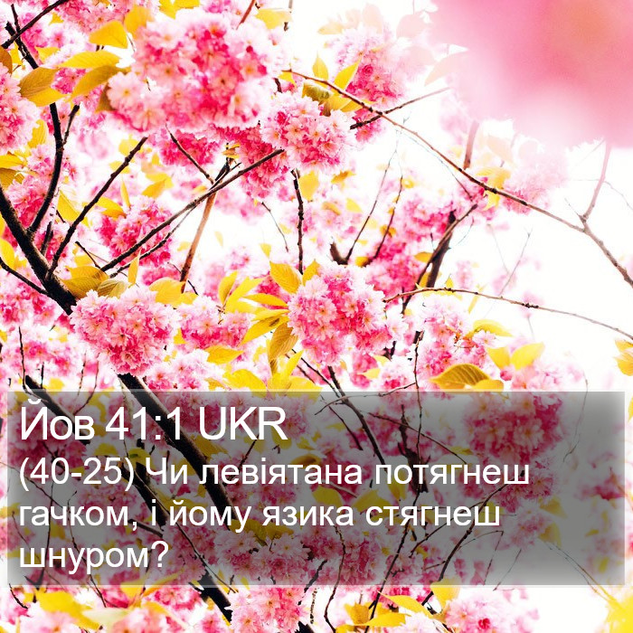 Йов 41:1 UKR Bible Study