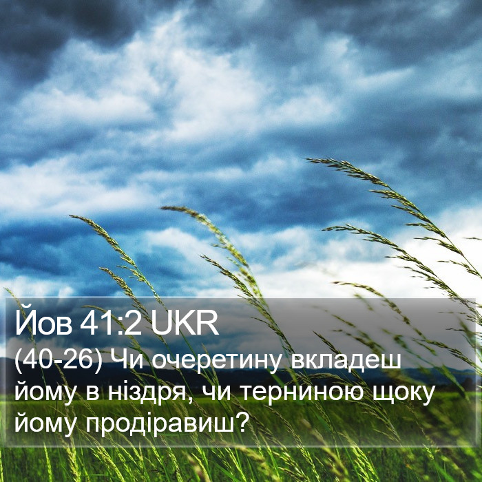 Йов 41:2 UKR Bible Study