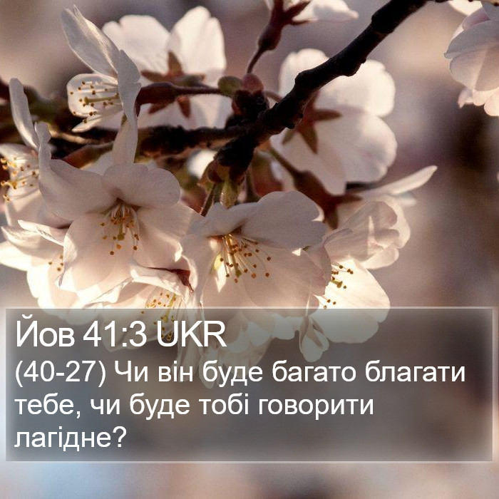 Йов 41:3 UKR Bible Study