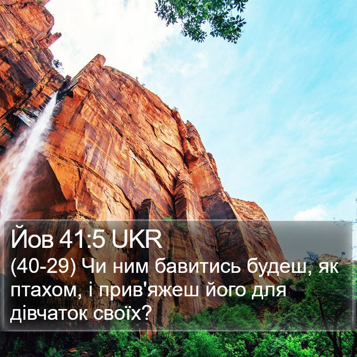 Йов 41:5 UKR Bible Study