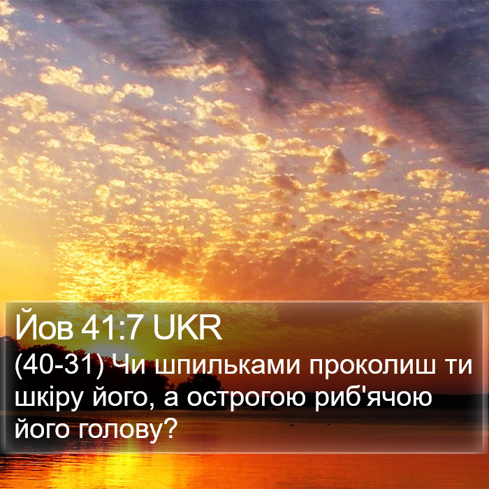 Йов 41:7 UKR Bible Study