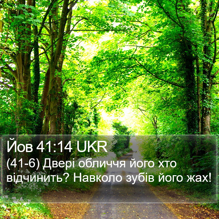 Йов 41:14 UKR Bible Study