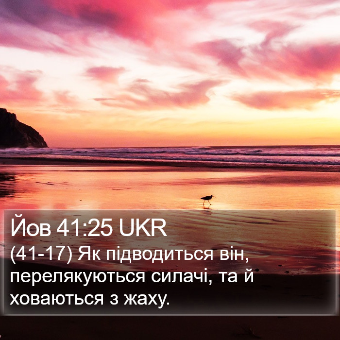 Йов 41:25 UKR Bible Study