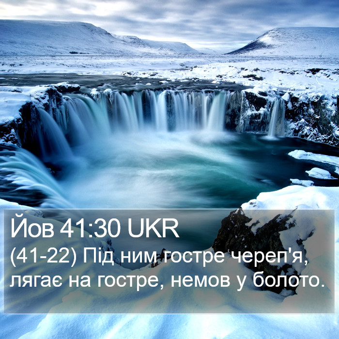 Йов 41:30 UKR Bible Study