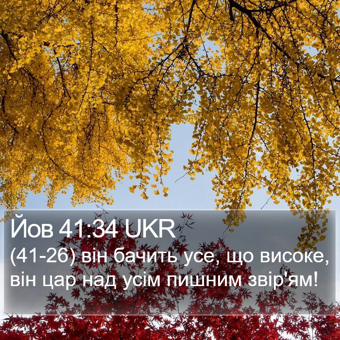 Йов 41:34 UKR Bible Study