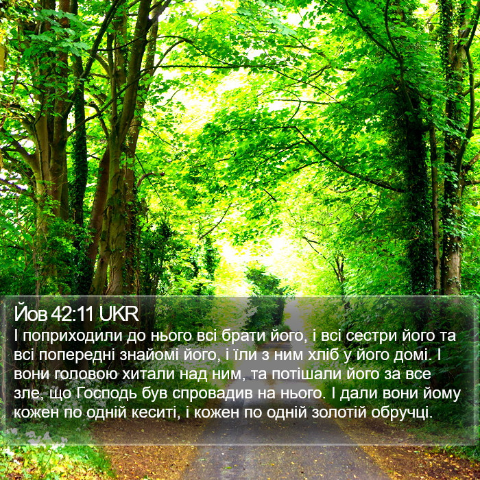 Йов 42:11 UKR Bible Study