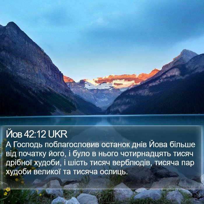 Йов 42:12 UKR Bible Study