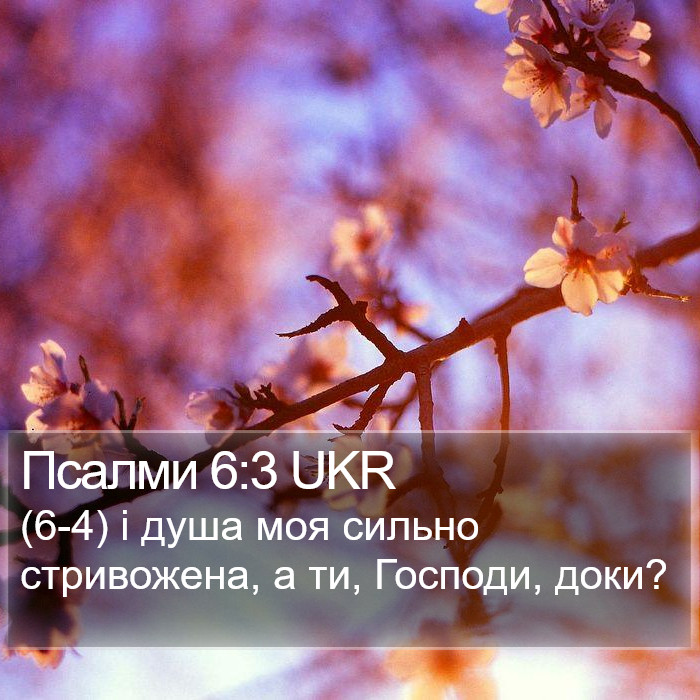 Псалми 6:3 UKR Bible Study