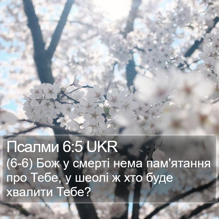 Псалми 6:5 UKR Bible Study