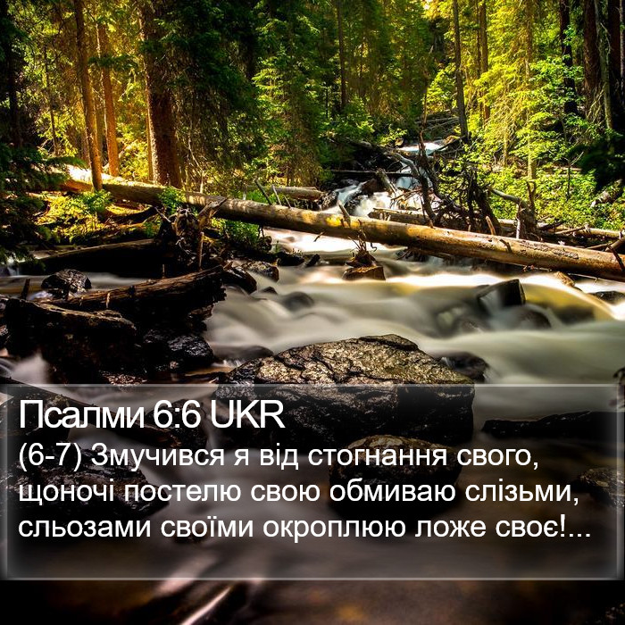 Псалми 6:6 UKR Bible Study