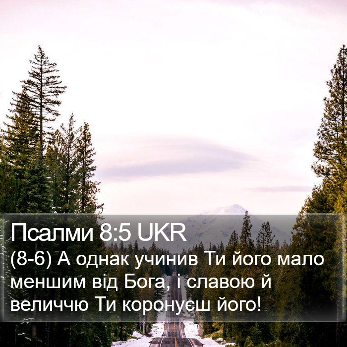 Псалми 8:5 UKR Bible Study