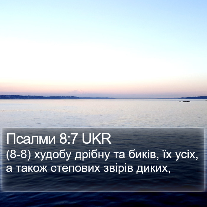 Псалми 8:7 UKR Bible Study