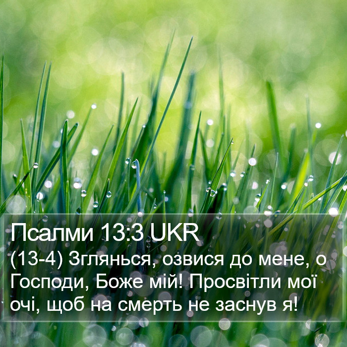 Псалми 13:3 UKR Bible Study