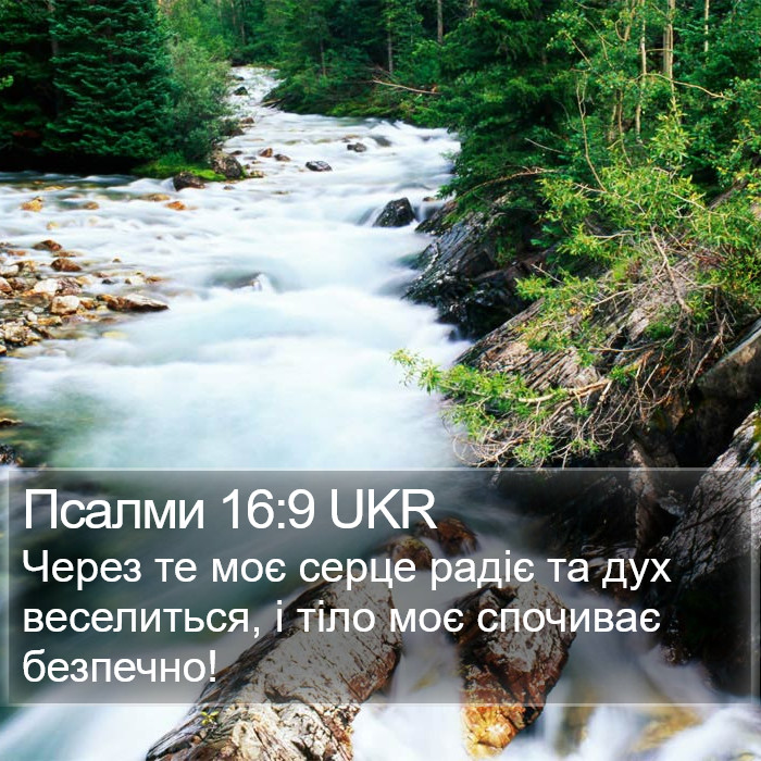 Псалми 16:9 UKR Bible Study