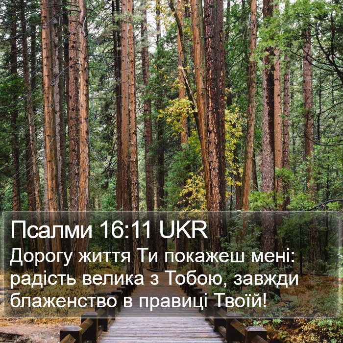 Псалми 16:11 UKR Bible Study