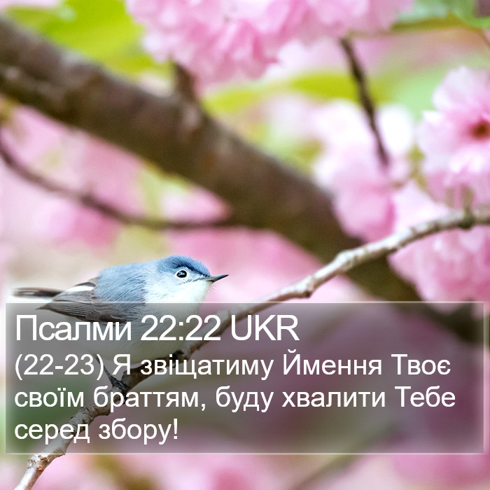 Псалми 22:22 UKR Bible Study