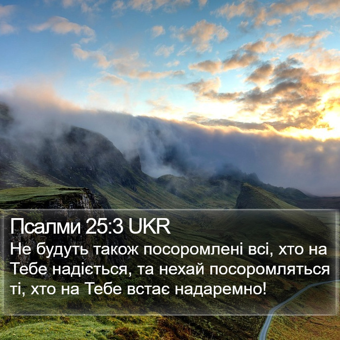 Псалми 25:3 UKR Bible Study