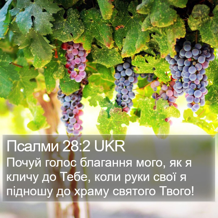 Псалми 28:2 UKR Bible Study