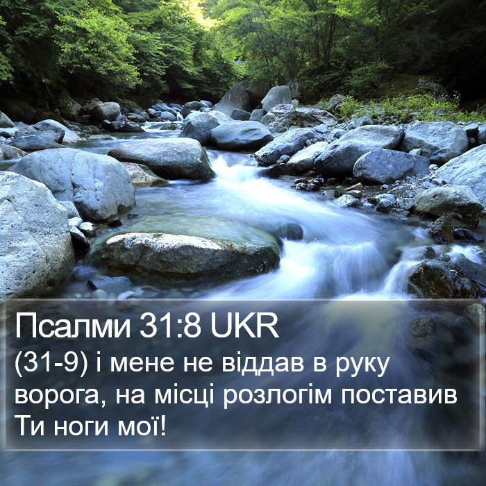 Псалми 31:8 UKR Bible Study