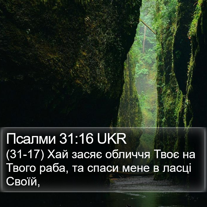 Псалми 31:16 UKR Bible Study