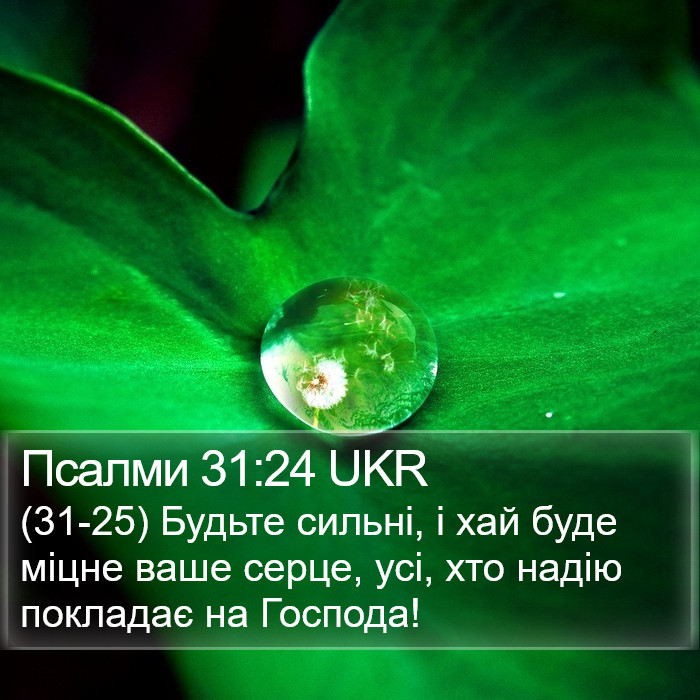 Псалми 31:24 UKR Bible Study