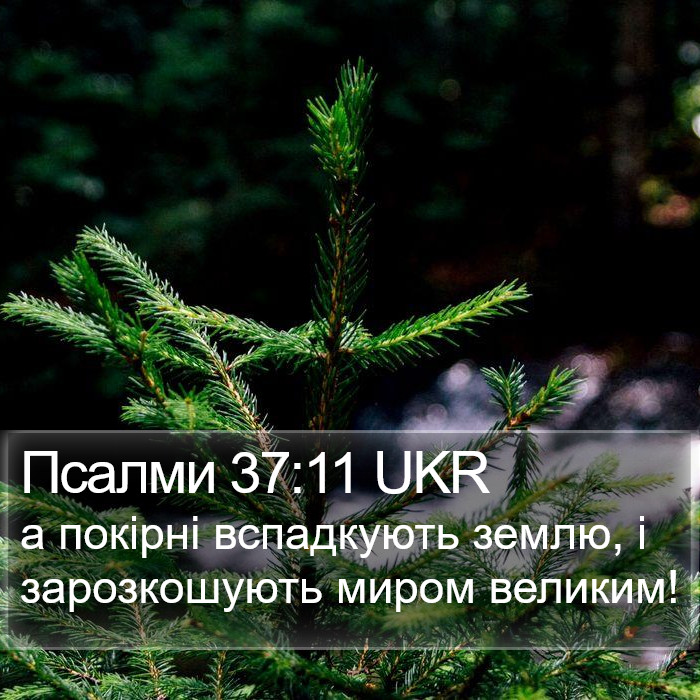 Псалми 37:11 UKR Bible Study