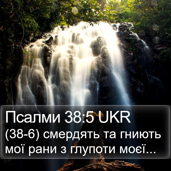 Псалми 38:5 UKR Bible Study