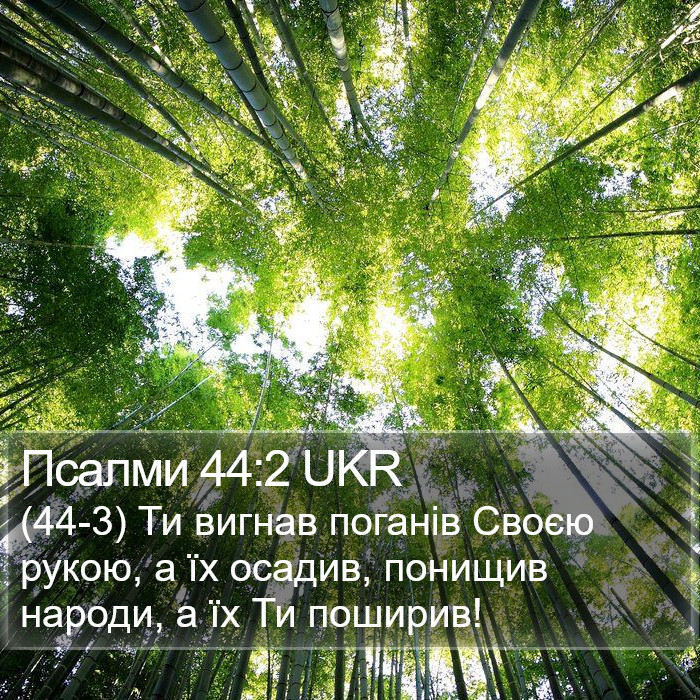 Псалми 44:2 UKR Bible Study