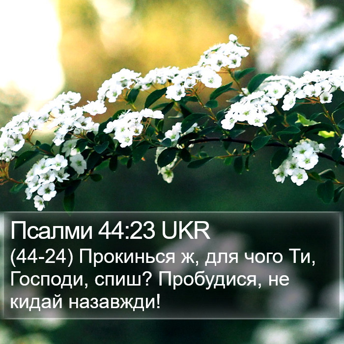 Псалми 44:23 UKR Bible Study