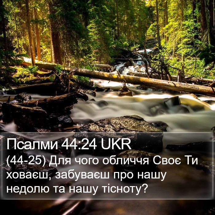 Псалми 44:24 UKR Bible Study