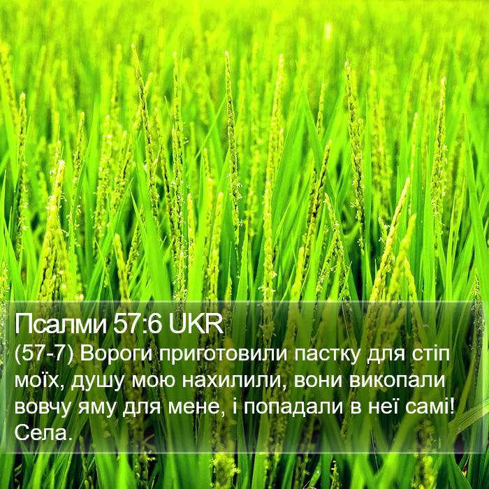 Псалми 57:6 UKR Bible Study