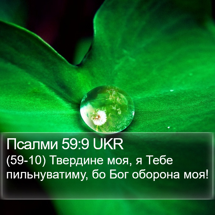 Псалми 59:9 UKR Bible Study