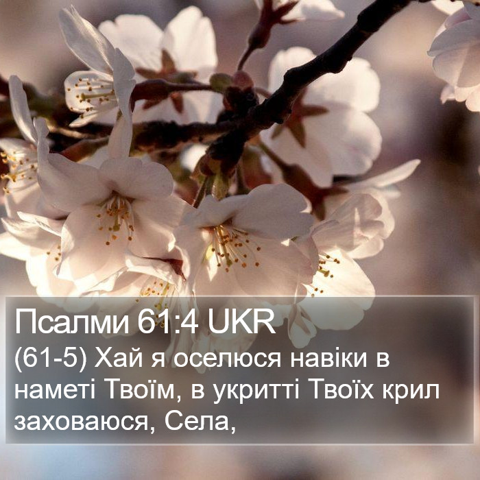 Псалми 61:4 UKR Bible Study