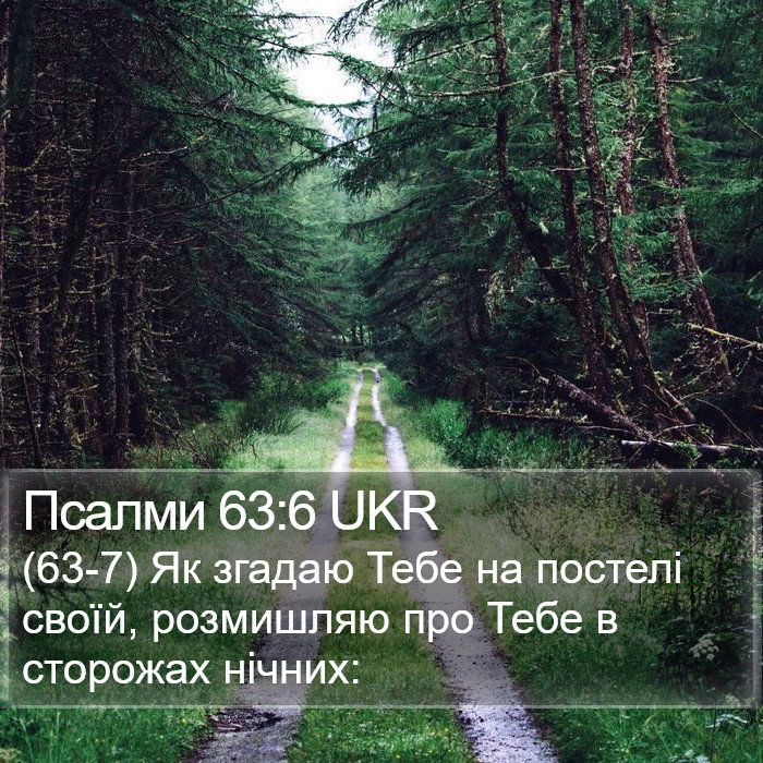 Псалми 63:6 UKR Bible Study