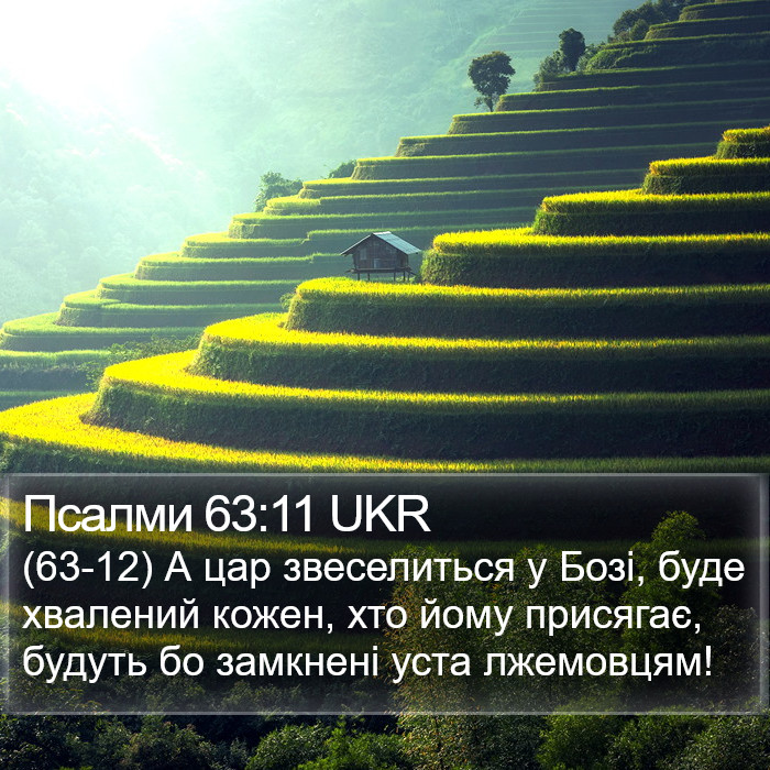 Псалми 63:11 UKR Bible Study