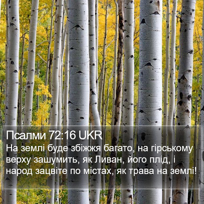 Псалми 72:16 UKR Bible Study