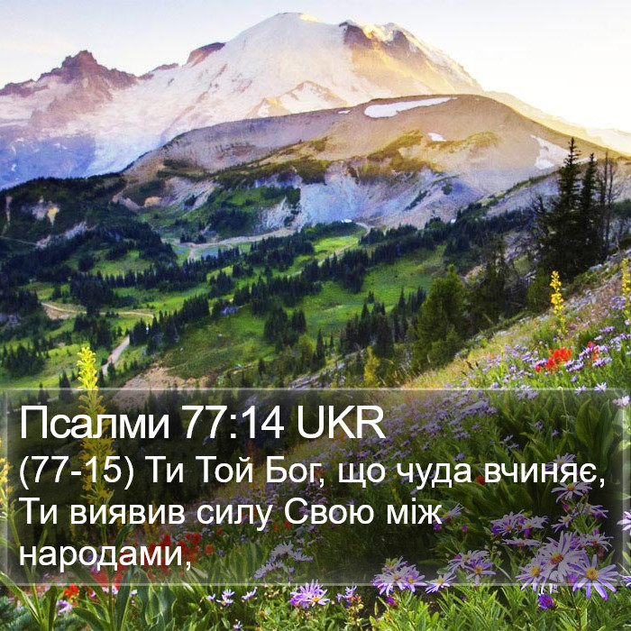 Псалми 77:14 UKR Bible Study