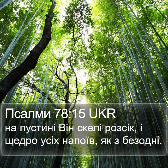Псалми 78:15 UKR Bible Study