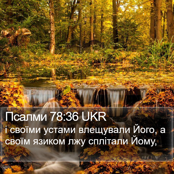 Псалми 78:36 UKR Bible Study