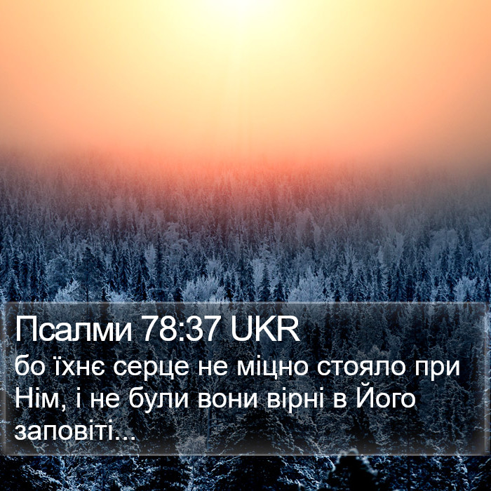 Псалми 78:37 UKR Bible Study