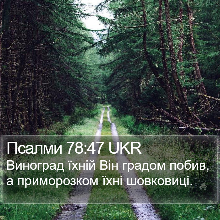 Псалми 78:47 UKR Bible Study