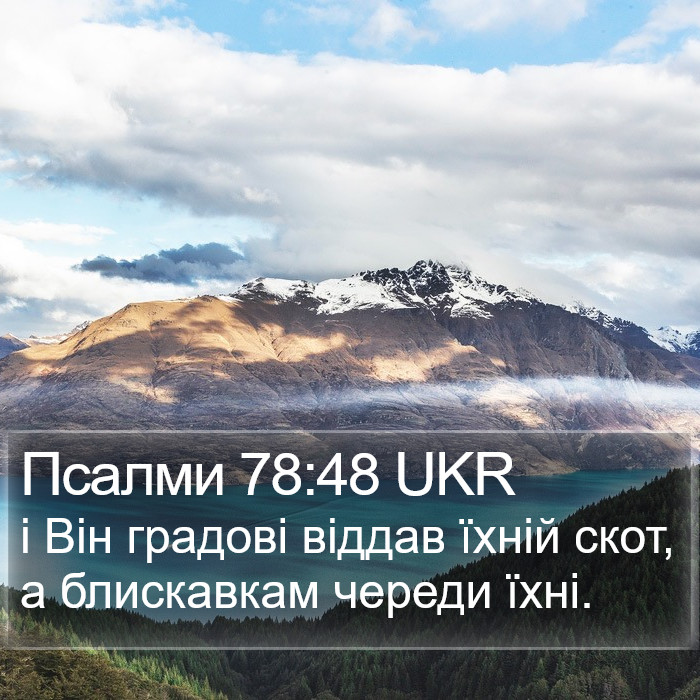 Псалми 78:48 UKR Bible Study