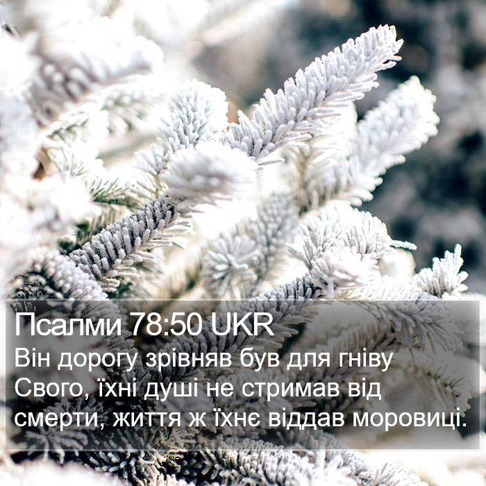 Псалми 78:50 UKR Bible Study